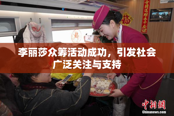 李丽莎众筹活动成功，引发社会广泛关注与支持