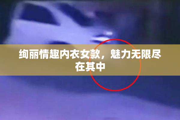 绚丽情趣内衣女款，魅力无限尽在其中