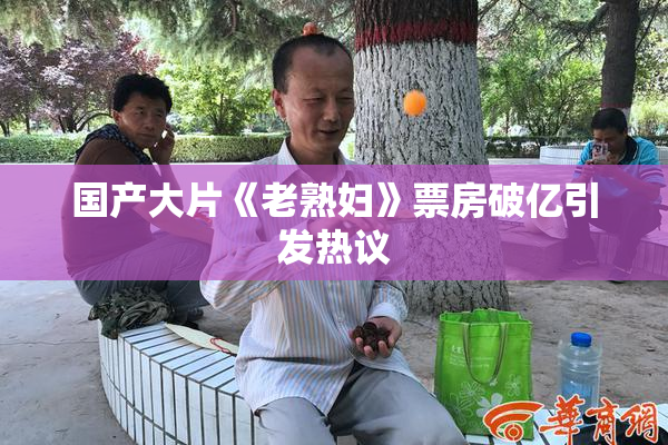 国产大片《老熟妇》票房破亿引发热议