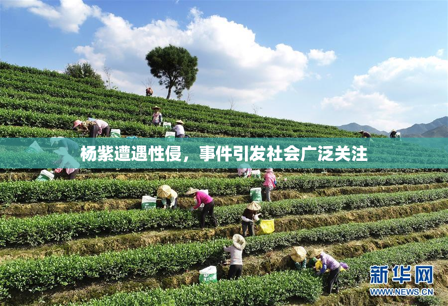 杨紫遭遇性侵，事件引发社会广泛关注