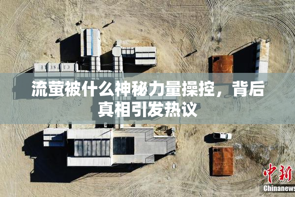 流萤被什么神秘力量操控，背后真相引发热议