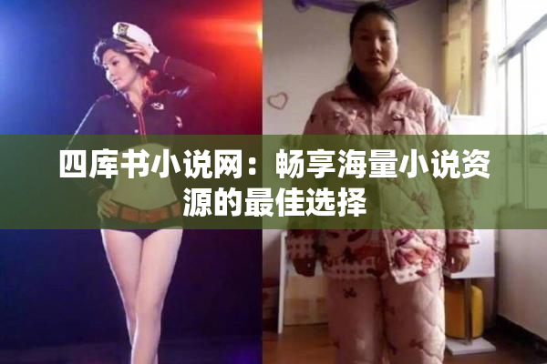 四库书小说网：畅享海量小说资源的最佳选择