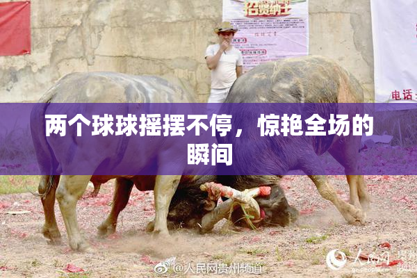 两个球球摇摆不停，惊艳全场的瞬间