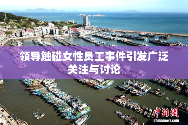 领导触碰女性员工事件引发广泛关注与讨论