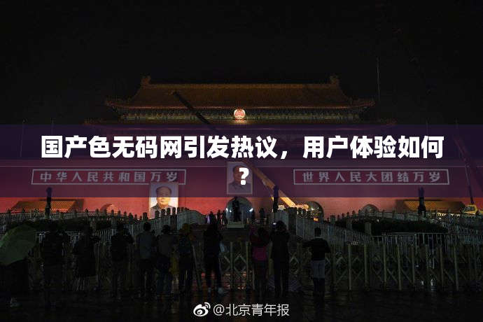 国产色无码网引发热议，用户体验如何？