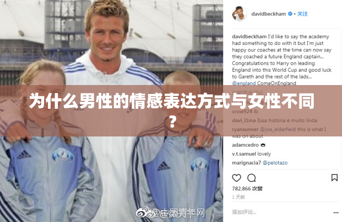 为什么男性的情感表达方式与女性不同？