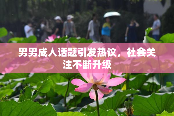 男男成人话题引发热议，社会关注不断升级