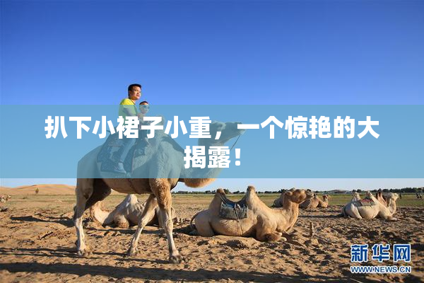 扒下小裙子小重，一个惊艳的大揭露！