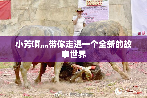 小芳啊灬带你走进一个全新的故事世界