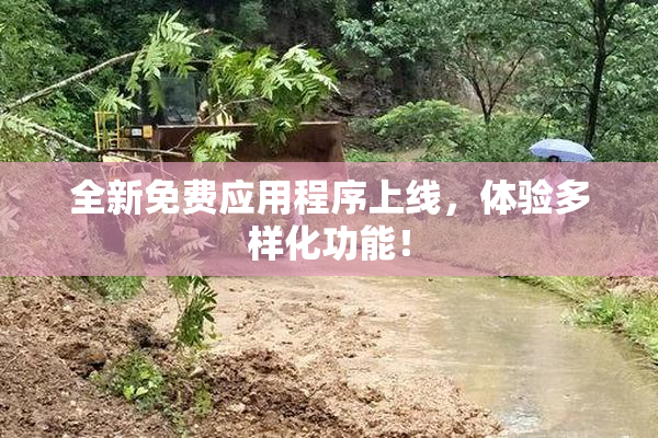 全新免费应用程序上线，体验多样化功能！