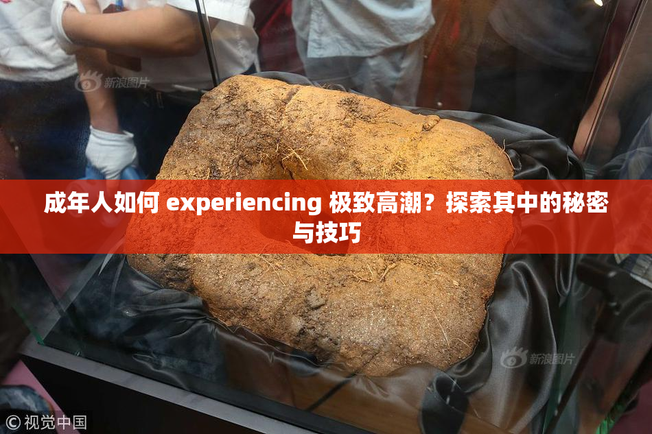 成年人如何 experiencing 极致高潮？探索其中的秘密与技巧