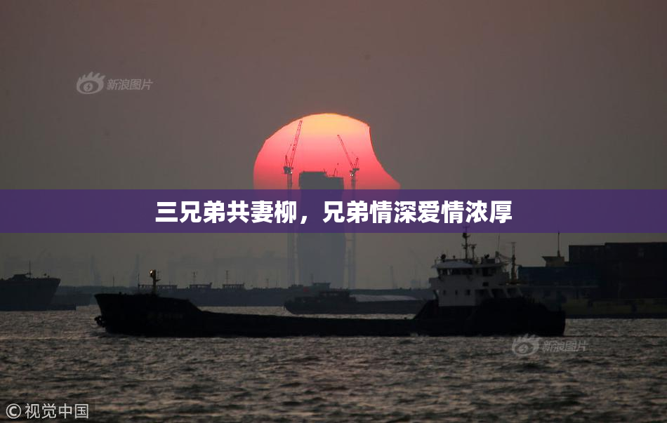 三兄弟共妻柳，兄弟情深爱情浓厚