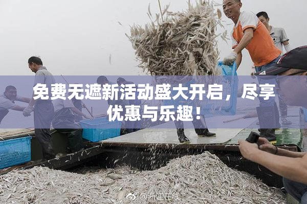 免费无遮新活动盛大开启，尽享优惠与乐趣！
