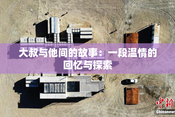 大叔与他间的故事：一段温情的回忆与探索