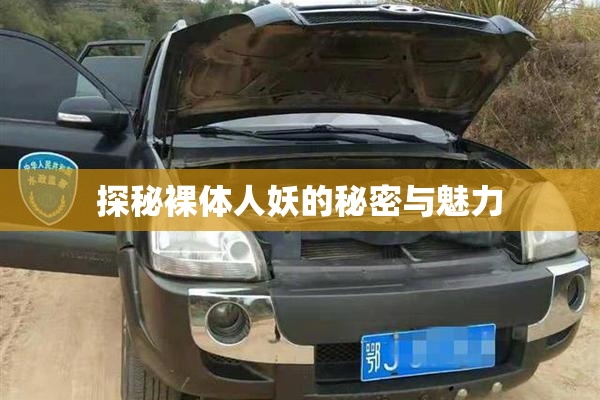 探秘裸体人妖的秘密与魅力