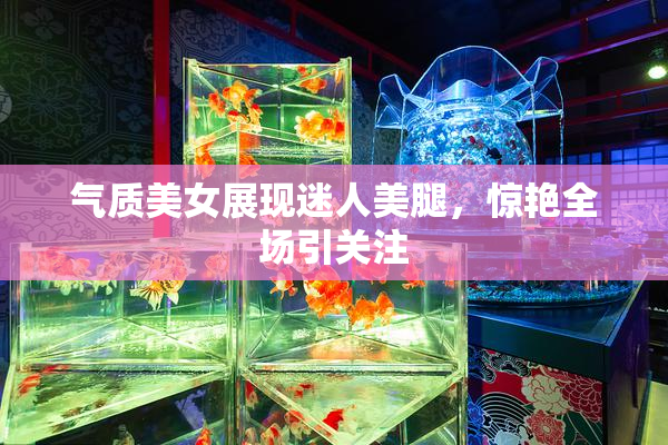 气质美女展现迷人美腿，惊艳全场引关注