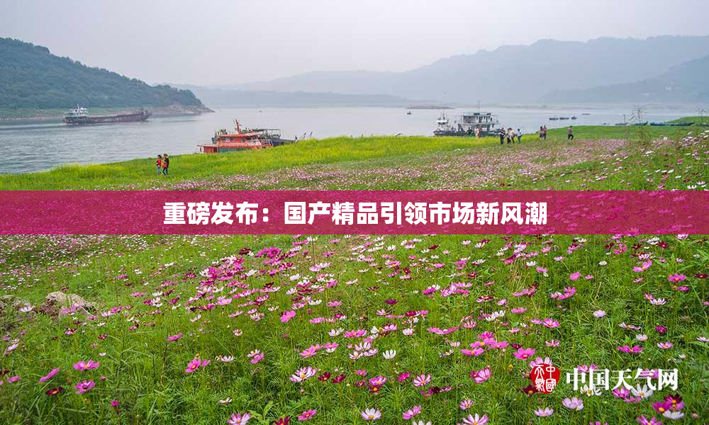 重磅发布：国产精品引领市场新风潮
