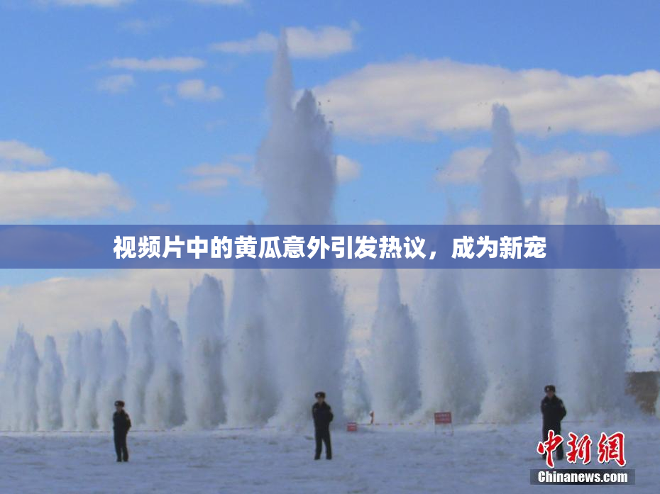 视频片中的黄瓜意外引发热议，成为新宠