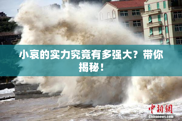 小哀的实力究竟有多强大？带你揭秘！