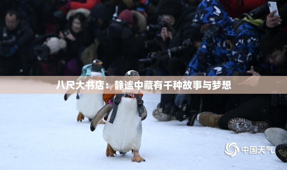 八尺大书店：静谧中藏有千种故事与梦想