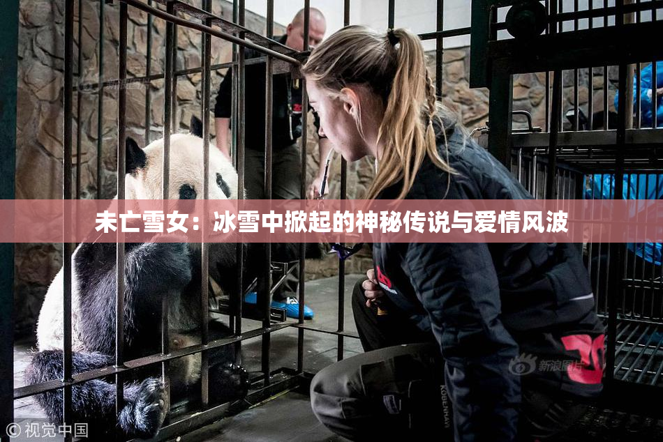 未亡雪女：冰雪中掀起的神秘传说与爱情风波