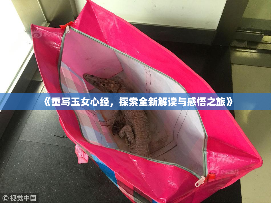 《重写玉女心经，探索全新解读与感悟之旅》