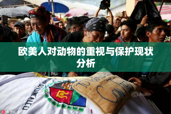 欧美人对动物的重视与保护现状分析