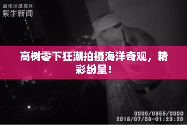 高树零下狂潮拍摄海洋奇观，精彩纷呈！