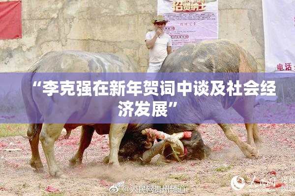 “李克强在新年贺词中谈及社会经济发展”