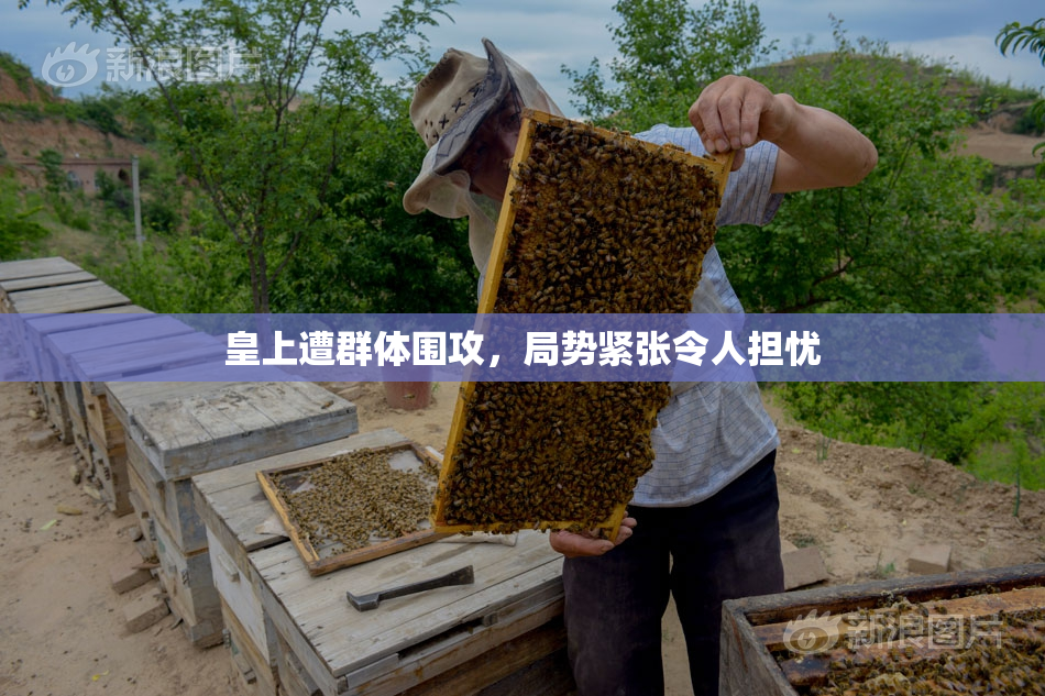 皇上遭群体围攻，局势紧张令人担忧