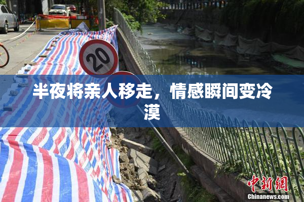 半夜将亲人移走，情感瞬间变冷漠