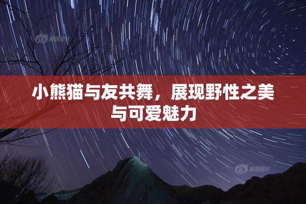 小熊猫与友共舞，展现野性之美与可爱魅力