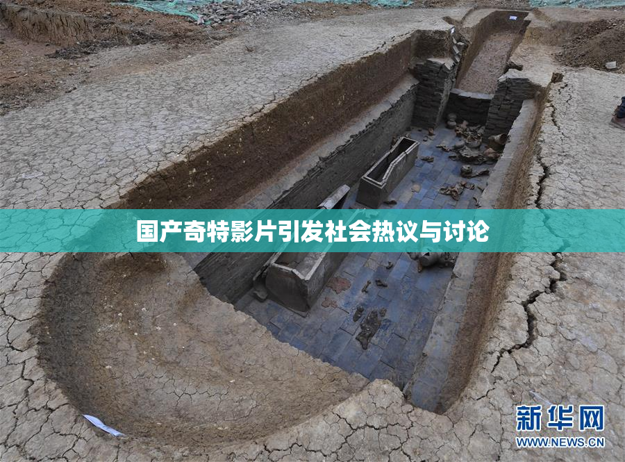 国产奇特影片引发社会热议与讨论