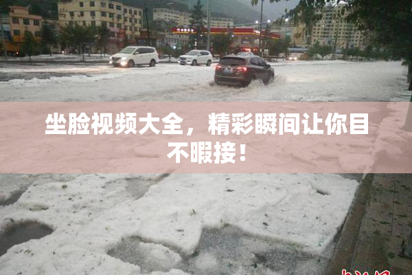 坐脸视频大全，精彩瞬间让你目不暇接！