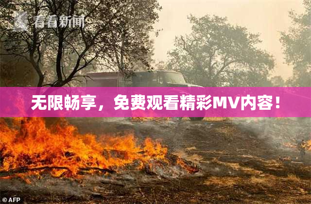 无限畅享，免费观看精彩MV内容！