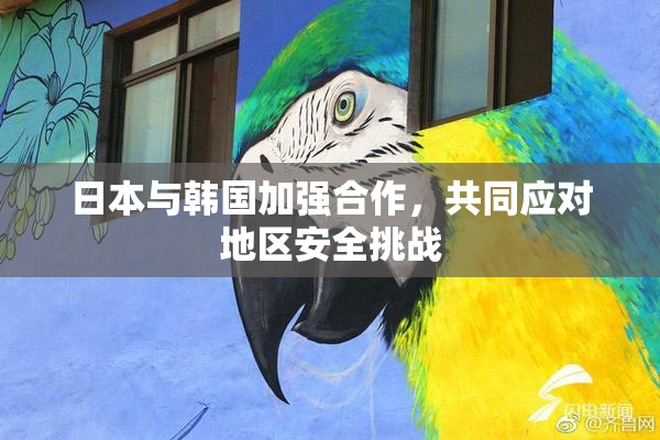 日本与韩国加强合作，共同应对地区安全挑战