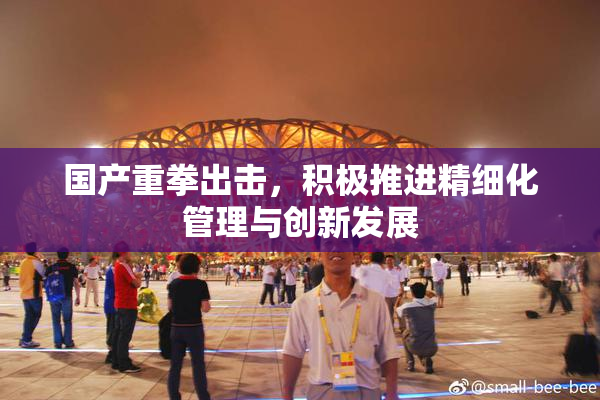 国产重拳出击，积极推进精细化管理与创新发展