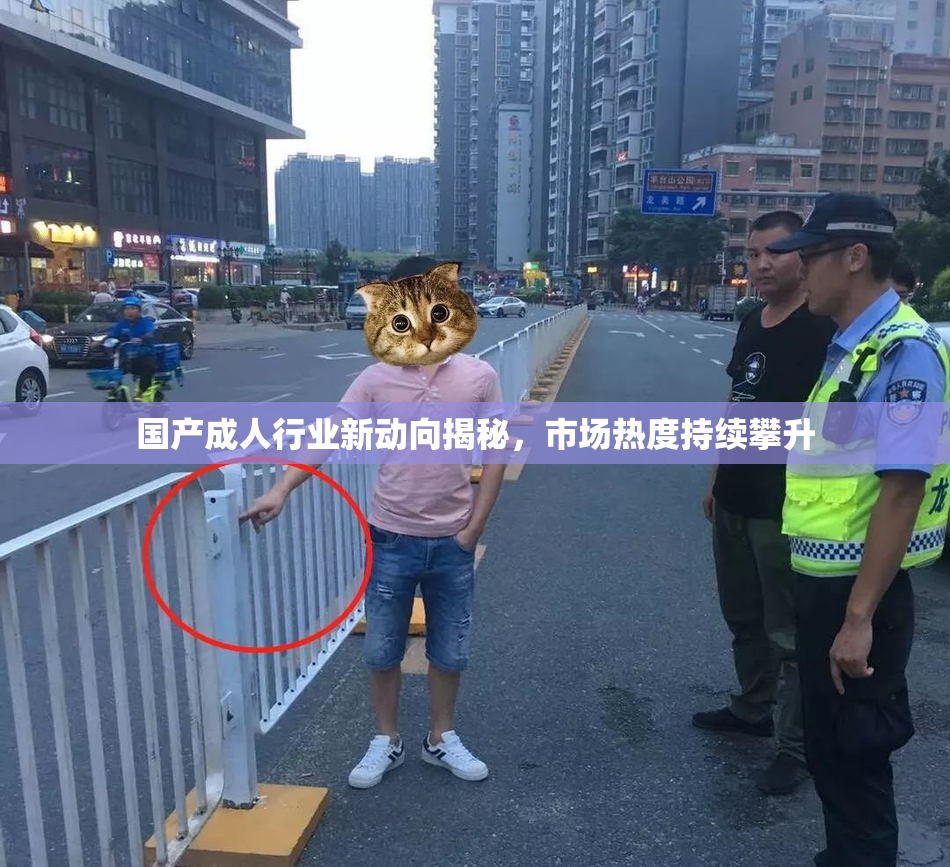 国产成人行业新动向揭秘，市场热度持续攀升
