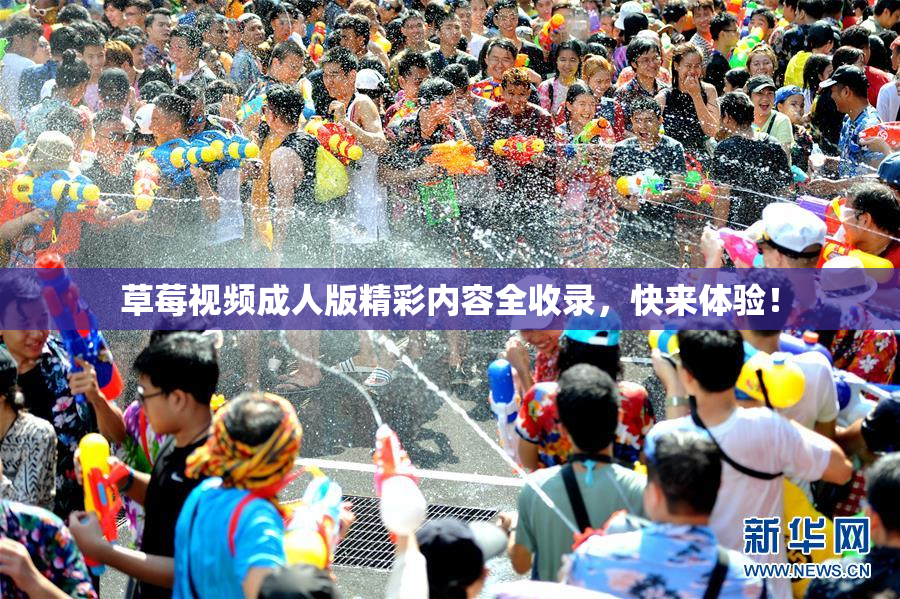 草莓视频成人版精彩内容全收录，快来体验！