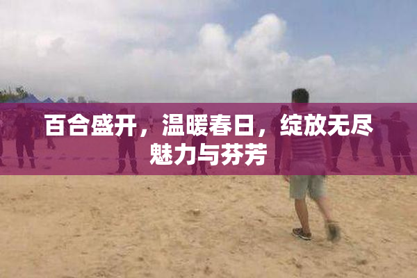 百合盛开，温暖春日，绽放无尽魅力与芬芳