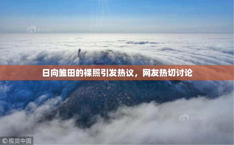 日向雏田的裸照引发热议，网友热切讨论