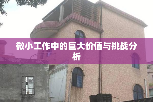微小工作中的巨大价值与挑战分析