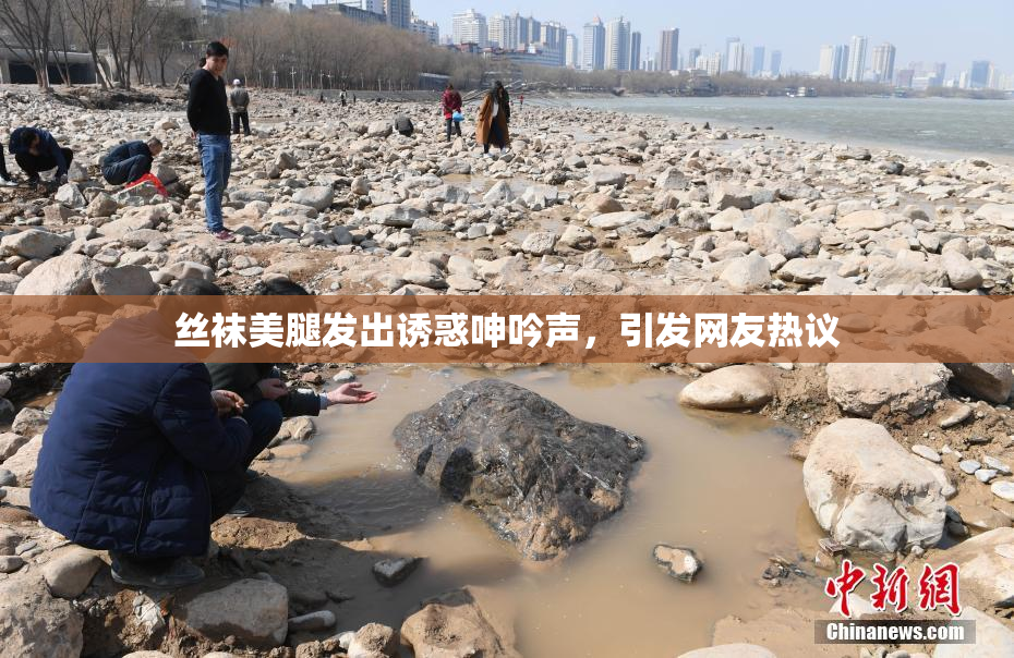 丝袜美腿发出诱惑呻吟声，引发网友热议
