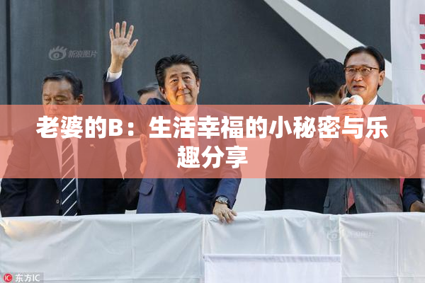 老婆的B：生活幸福的小秘密与乐趣分享