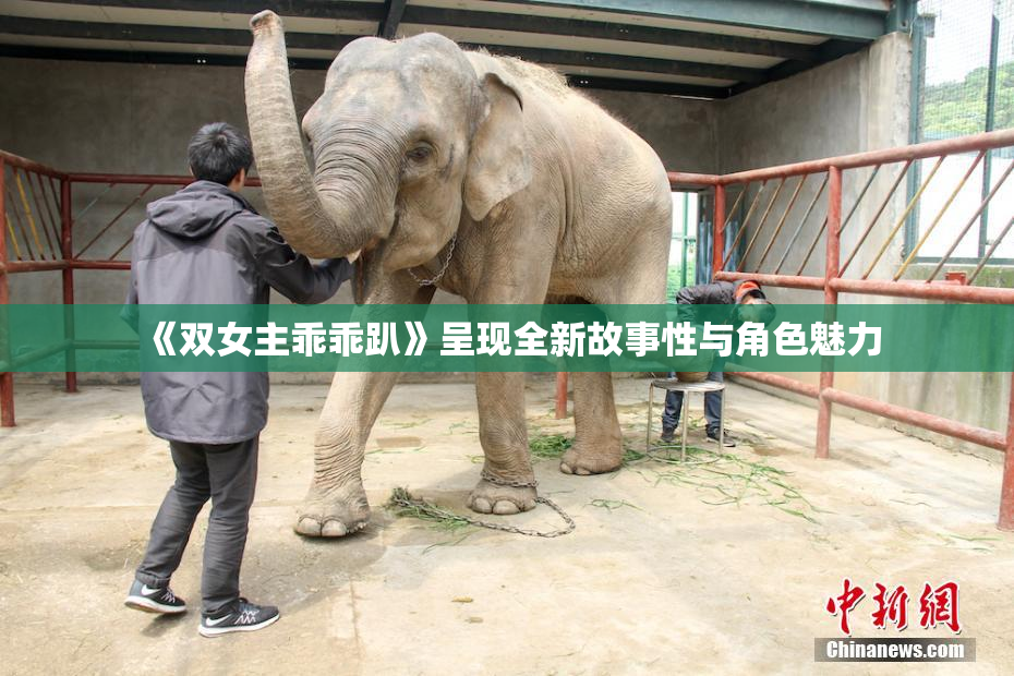 《双女主乖乖趴》呈现全新故事性与角色魅力