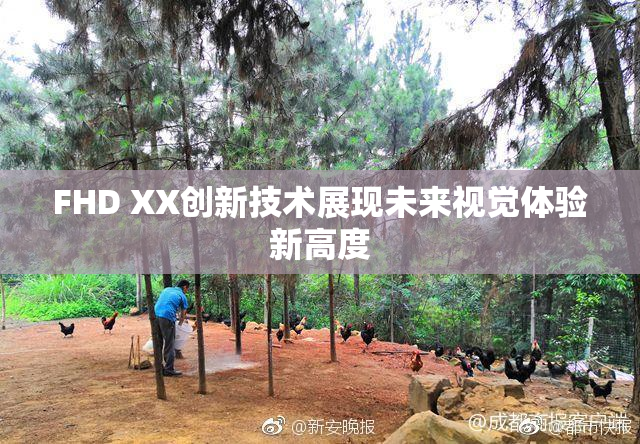FHD XX创新技术展现未来视觉体验新高度