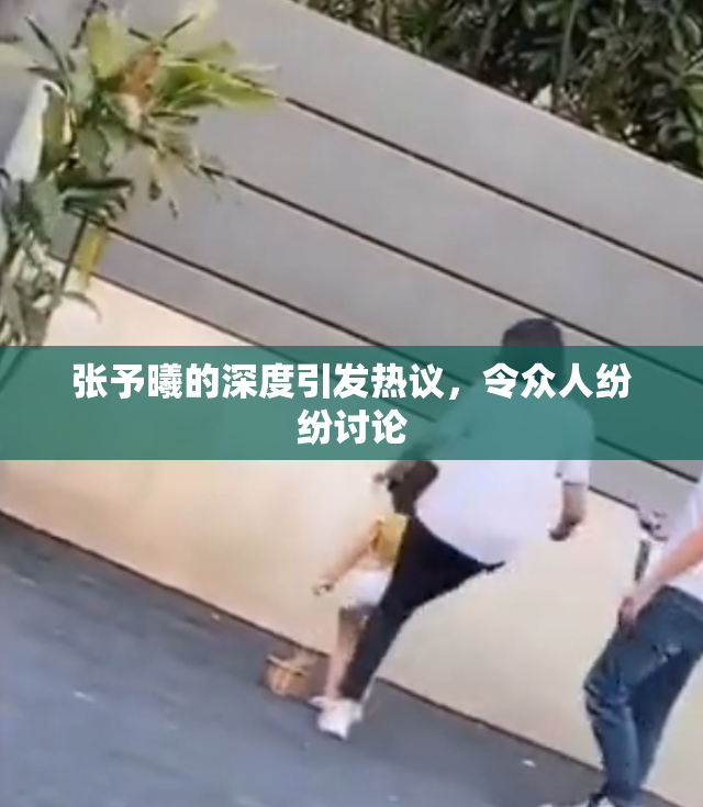 张予曦的深度引发热议，令众人纷纷讨论