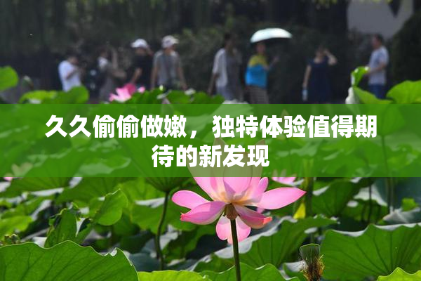 久久偷偷做嫩，独特体验值得期待的新发现