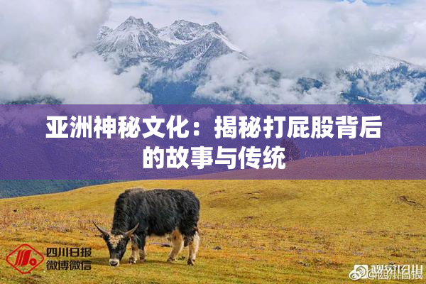 亚洲神秘文化：揭秘打屁股背后的故事与传统