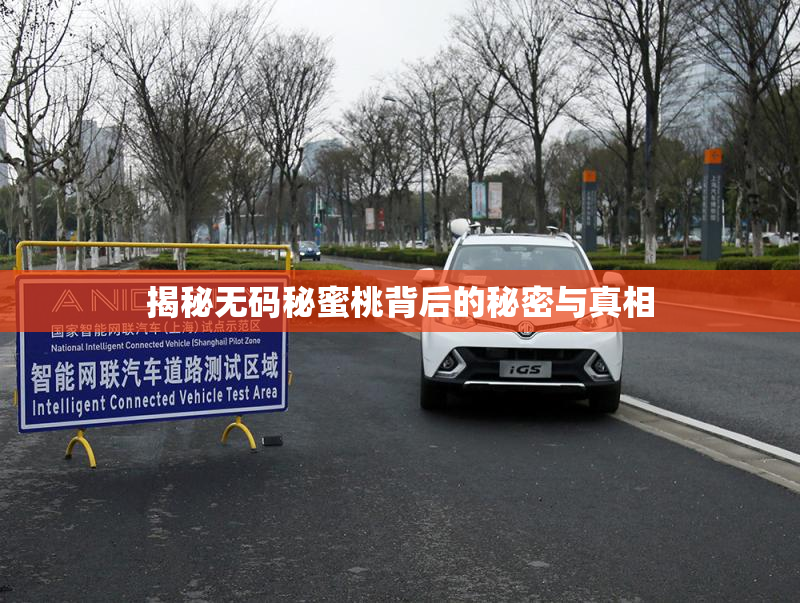 揭秘无码秘蜜桃背后的秘密与真相